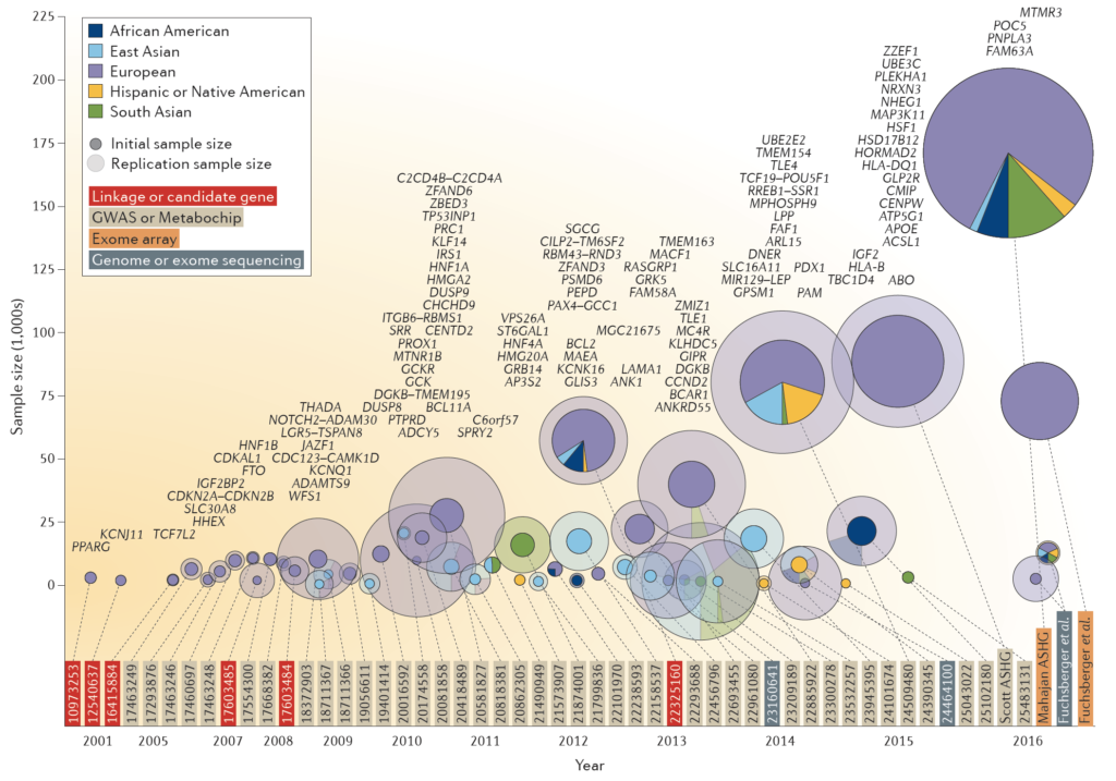 recent type 2 diabetes research